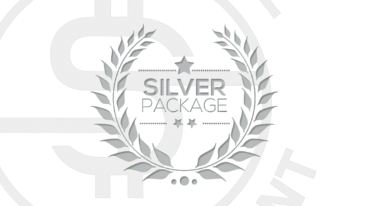 Service Pakket 2: Silver